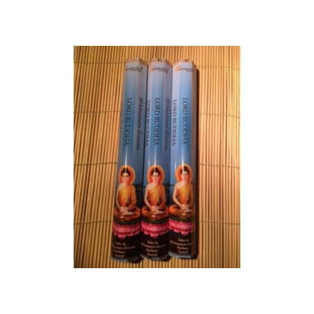 Tube de 20 Bâtonnets d'Encens. Parfum: Lord Buddha