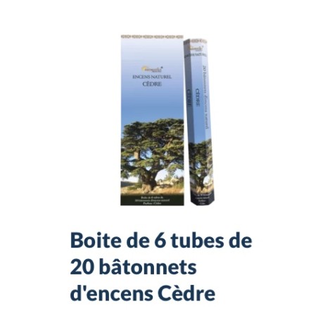 Boîte de 6 tubes Aromatika de 20 bâtonnets d'encens CEDRE