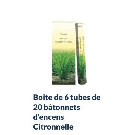 Boîte de 6 tubes Aromatika de 20 bâtonnets d'encens CITRONNELLE