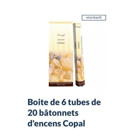 Boîte de 6 tubes Aromatika de 20 bâtonnets d'encens COPAL