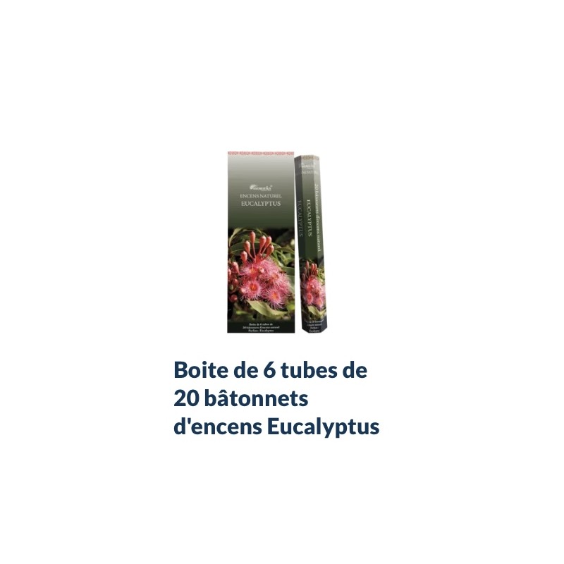 Boîte de 6 tubes Aromatika de 20 bâtonnets d'encens EUCALYPTUS