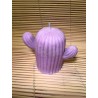 Bougie Cactus couleurs ROSE VIOLET PARME