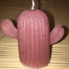 Bougie Cactus couleurs ROSE VIOLET PARME