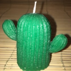 Bougies CACTUS couleurs BLEU VERT GRIS