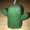 Bougies CACTUS couleurs BLEU VERT GRIS